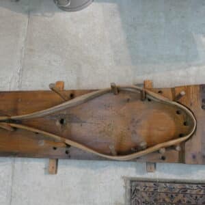 Early Snowshoe Mold